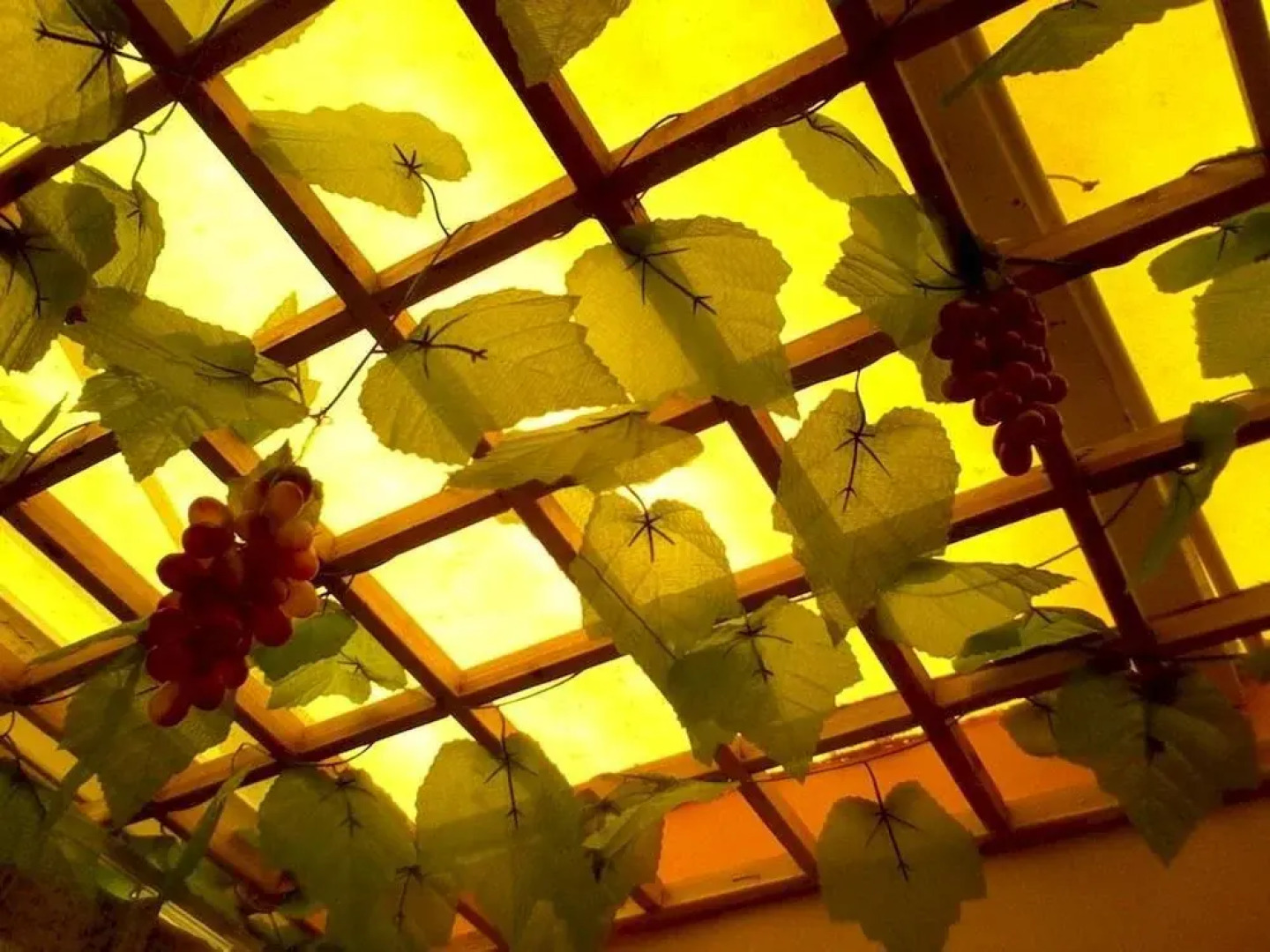 Xiamen Bloom Pinellia Holiday Home