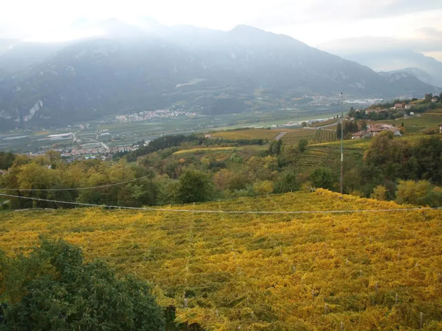 Agriturismo Al Maniero