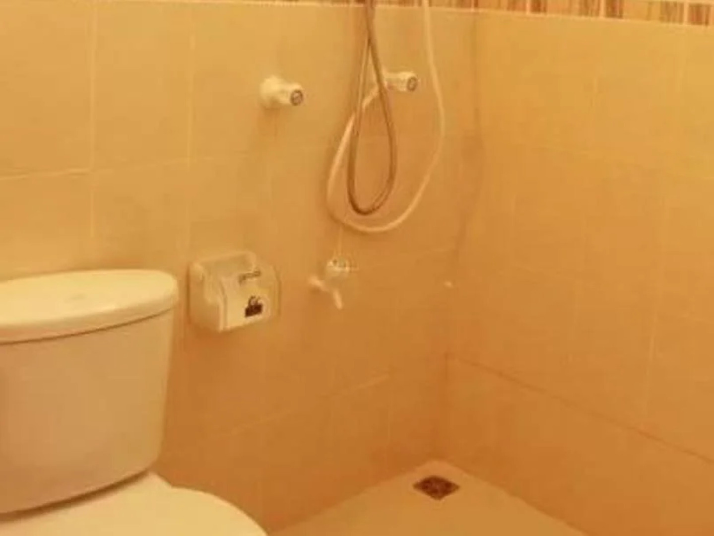 Hanifaru Transit Inn