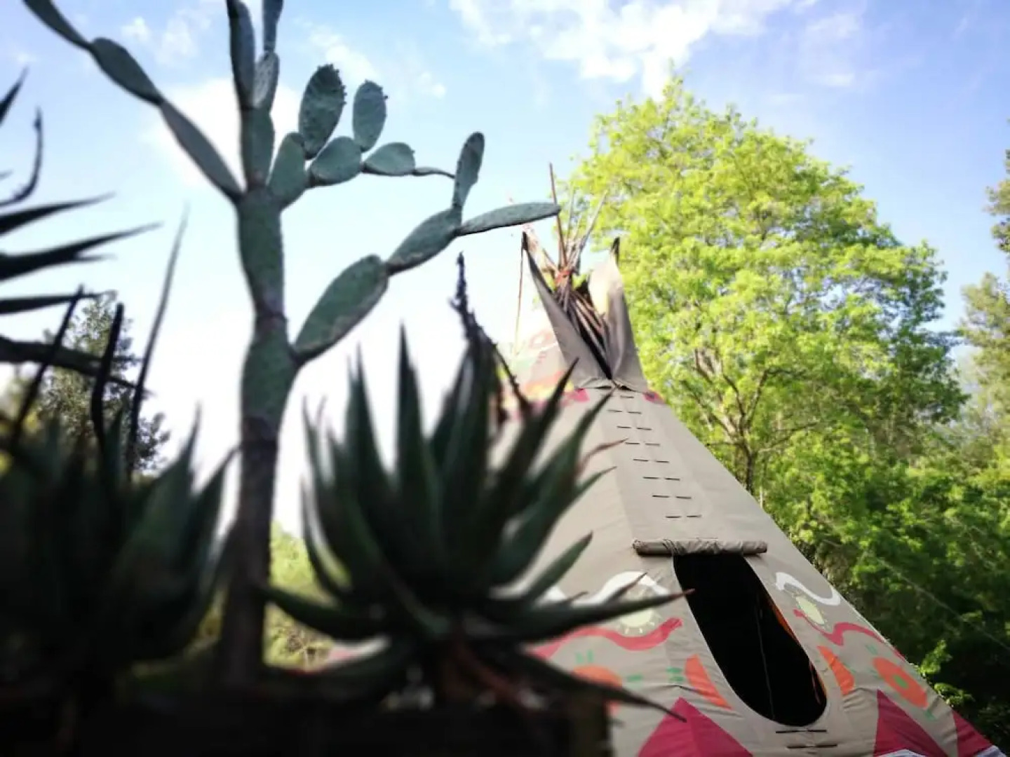 Magical Teepee Experience Hogsback - Glamping