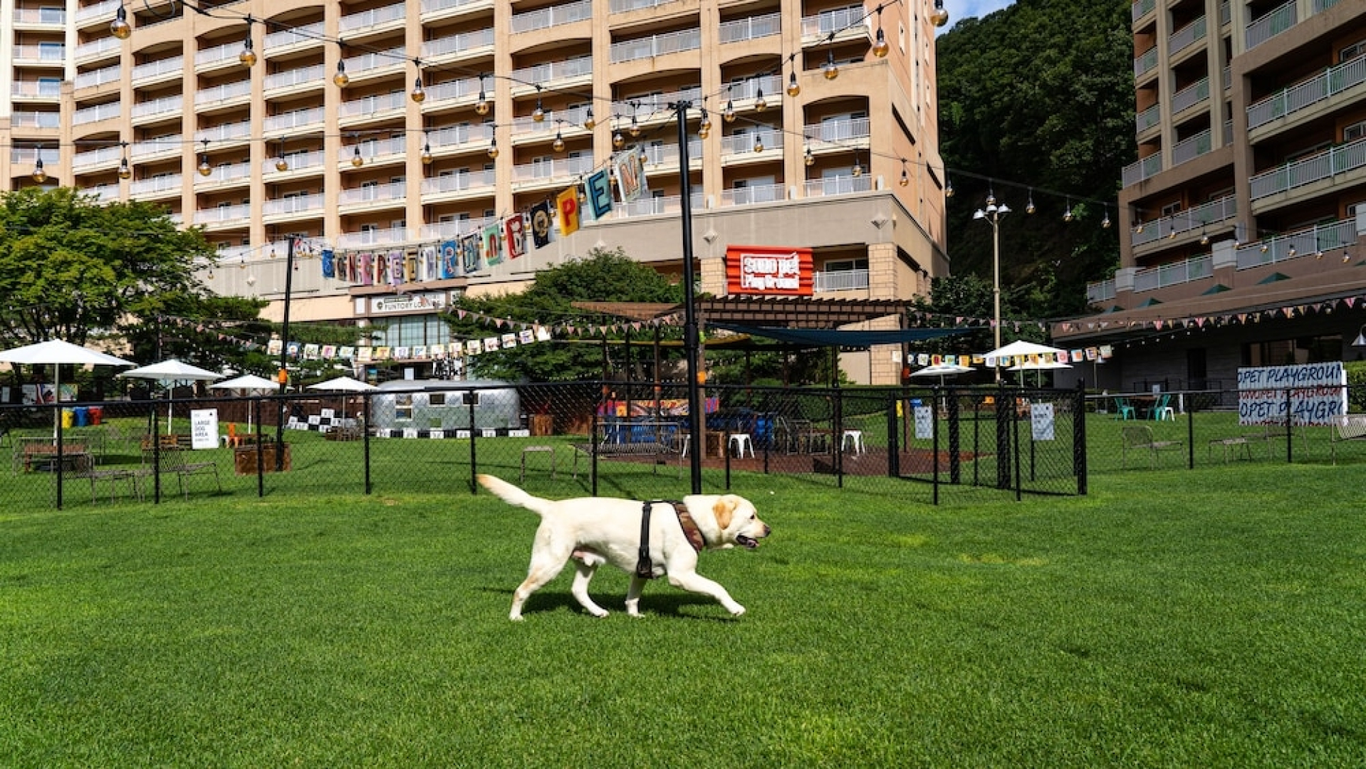 Sono Pet Clubs & Resorts VivaldiPark