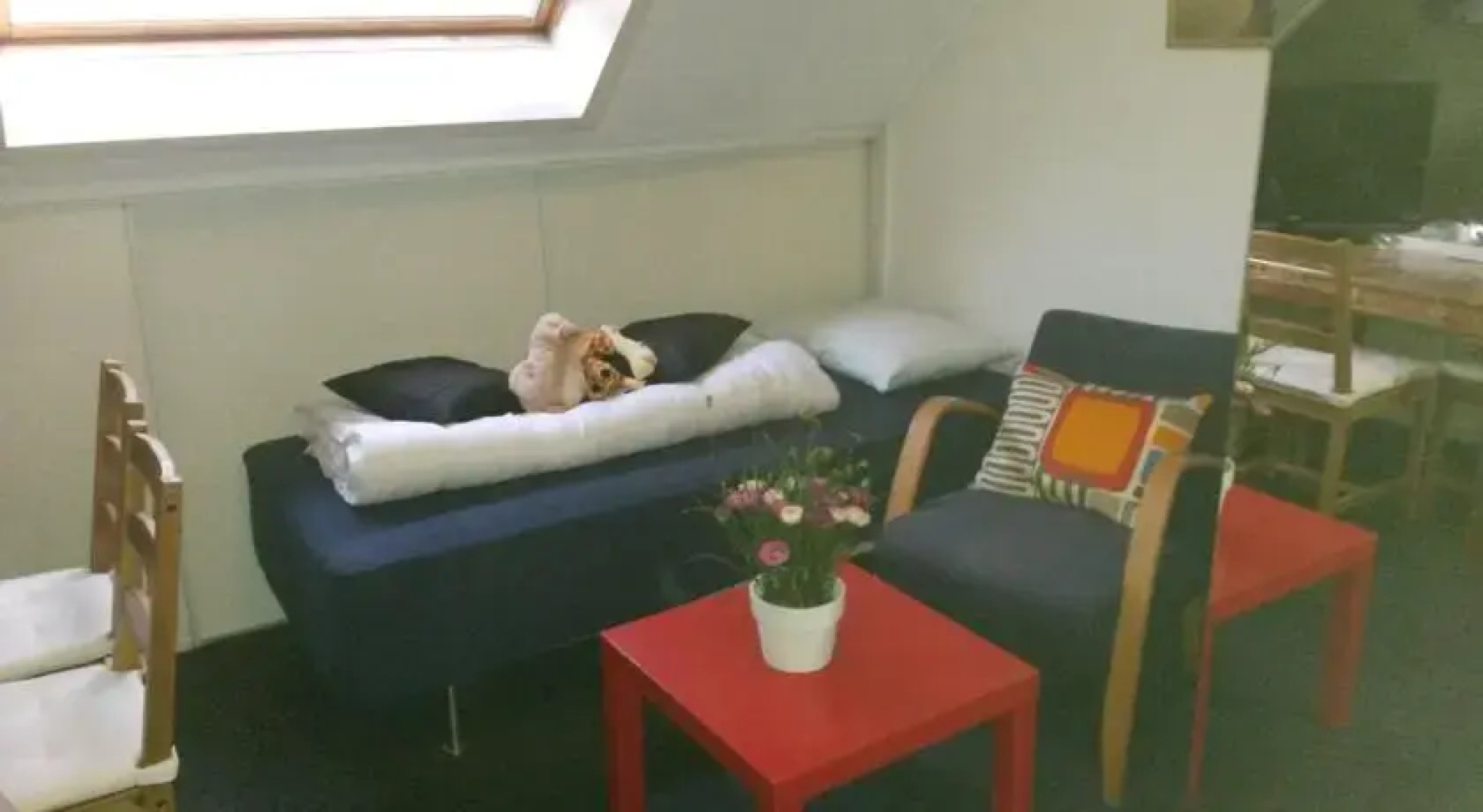 Bed & Breakfast Seijger