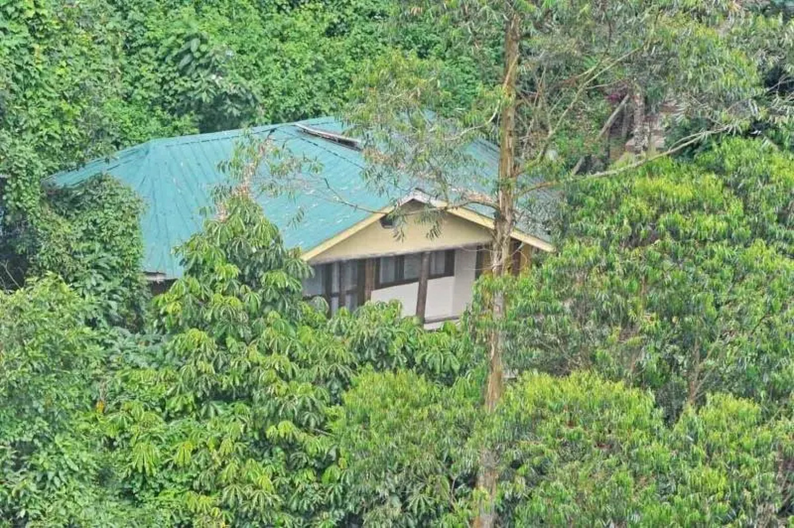 Gorilla Safari Lodge
