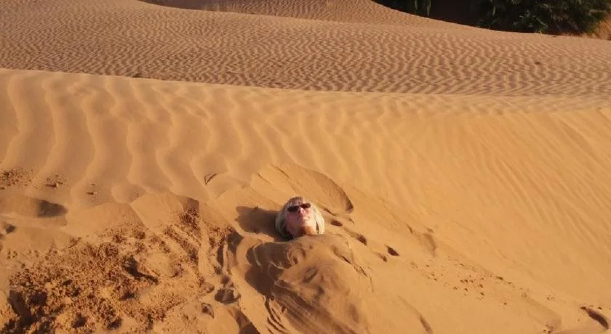 Camping Les Palmeraies