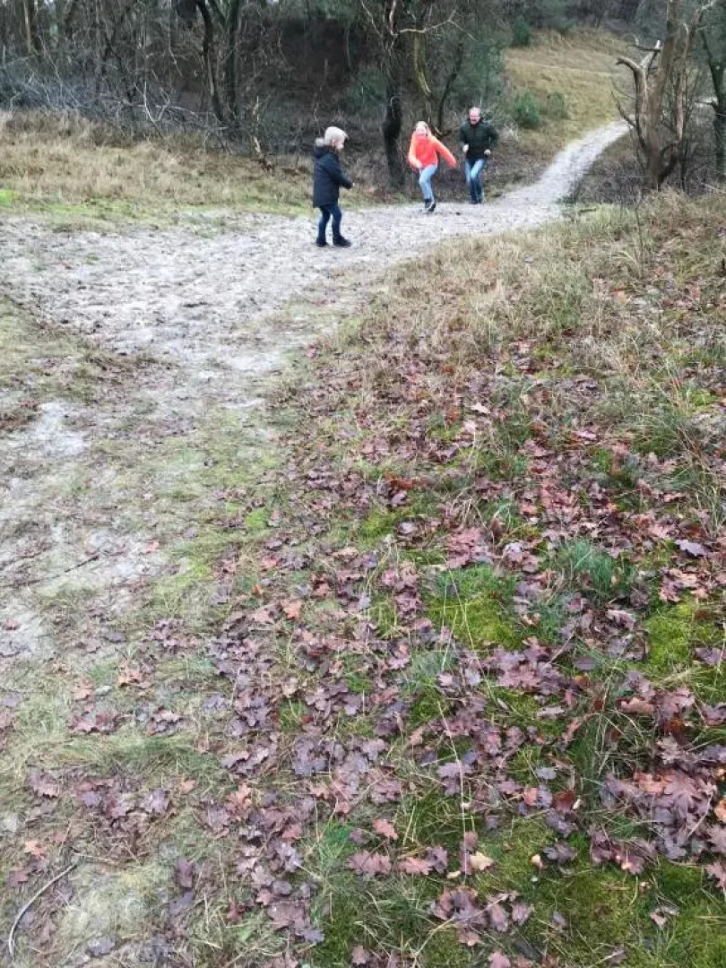 Natuurhuisje Pine & Oak 6 persoons