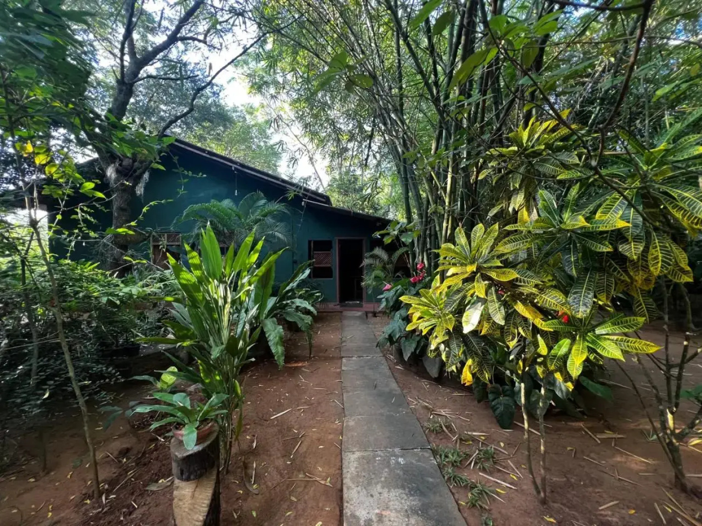 Walawa Blue Sapphire