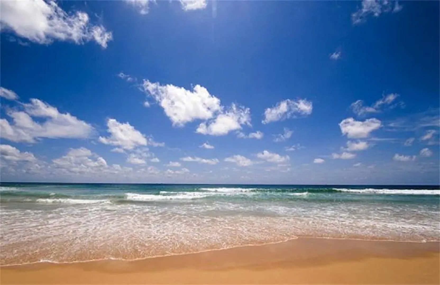 The Ark Karon 1 bedroom Apartment Pool Level