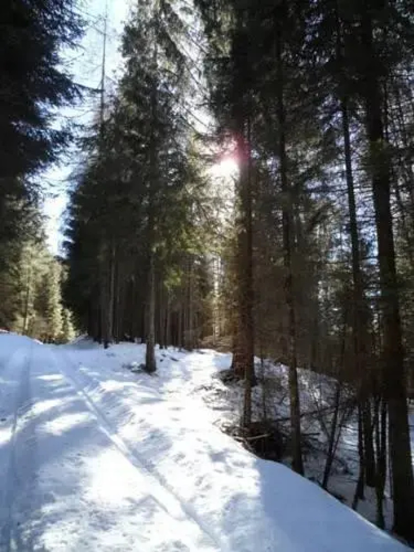 Rifugio Petina