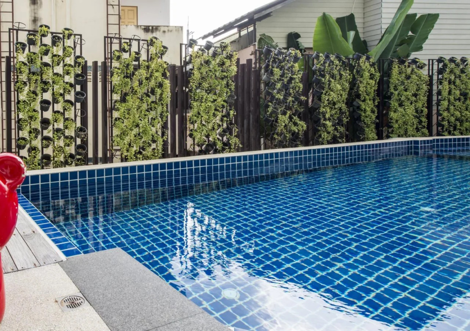 The Frutta Boutique Patong Beach