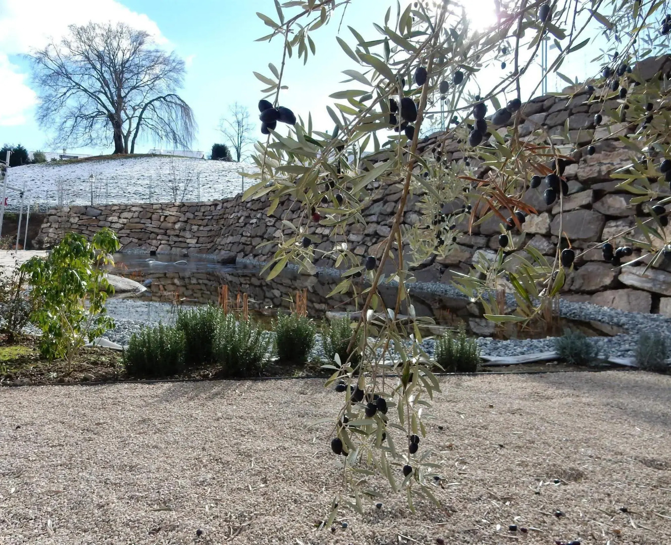 Modern Times Hotel, Vevey, a Tribute Portfolio Hotel