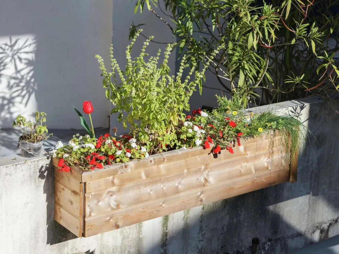 Belvilla by OYO La Cucagna Due