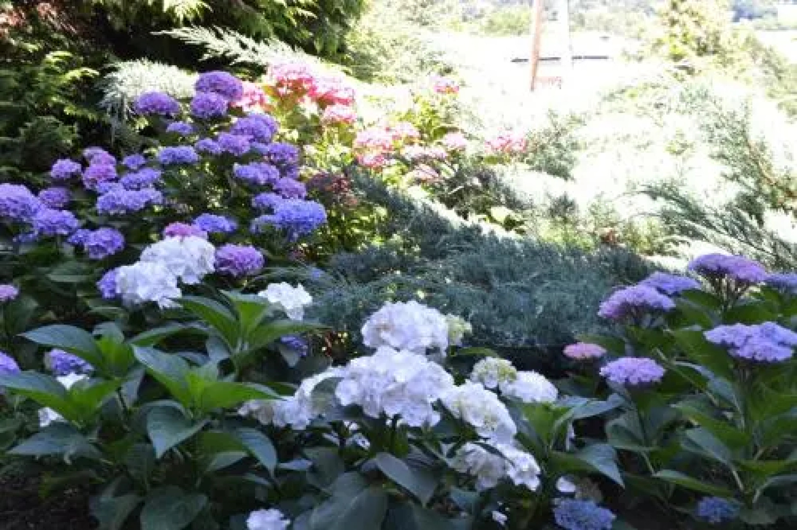 Gästehaus Pfisterer