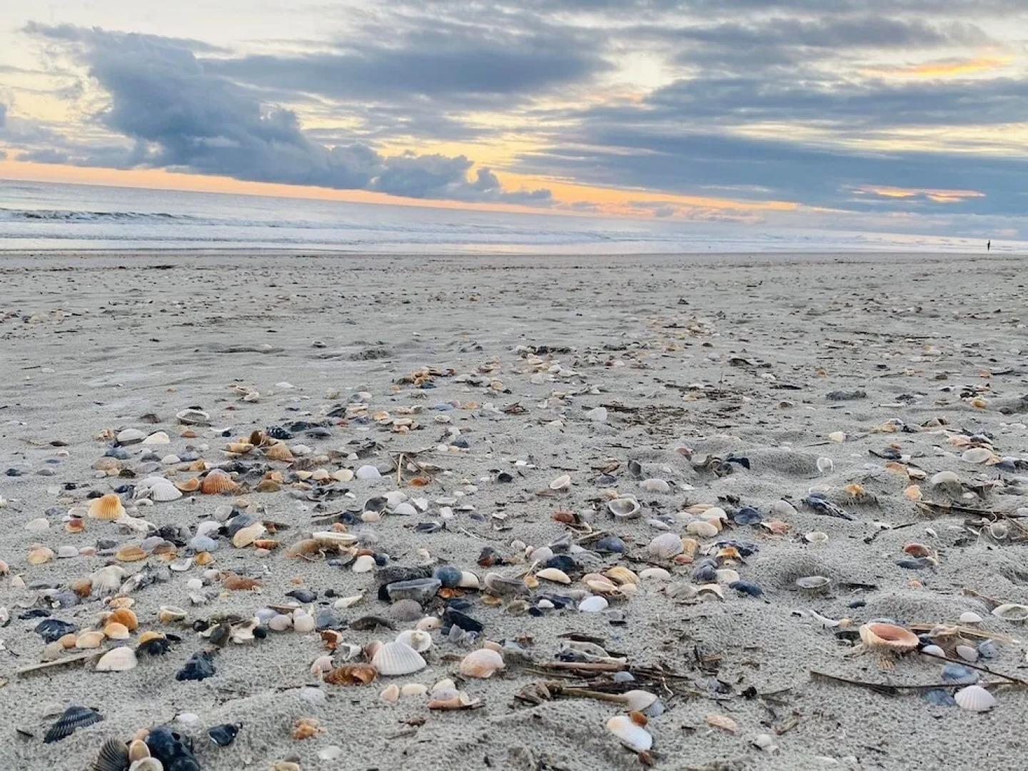 Old Man & The Sea 5 Bedroom Home by RedAwning