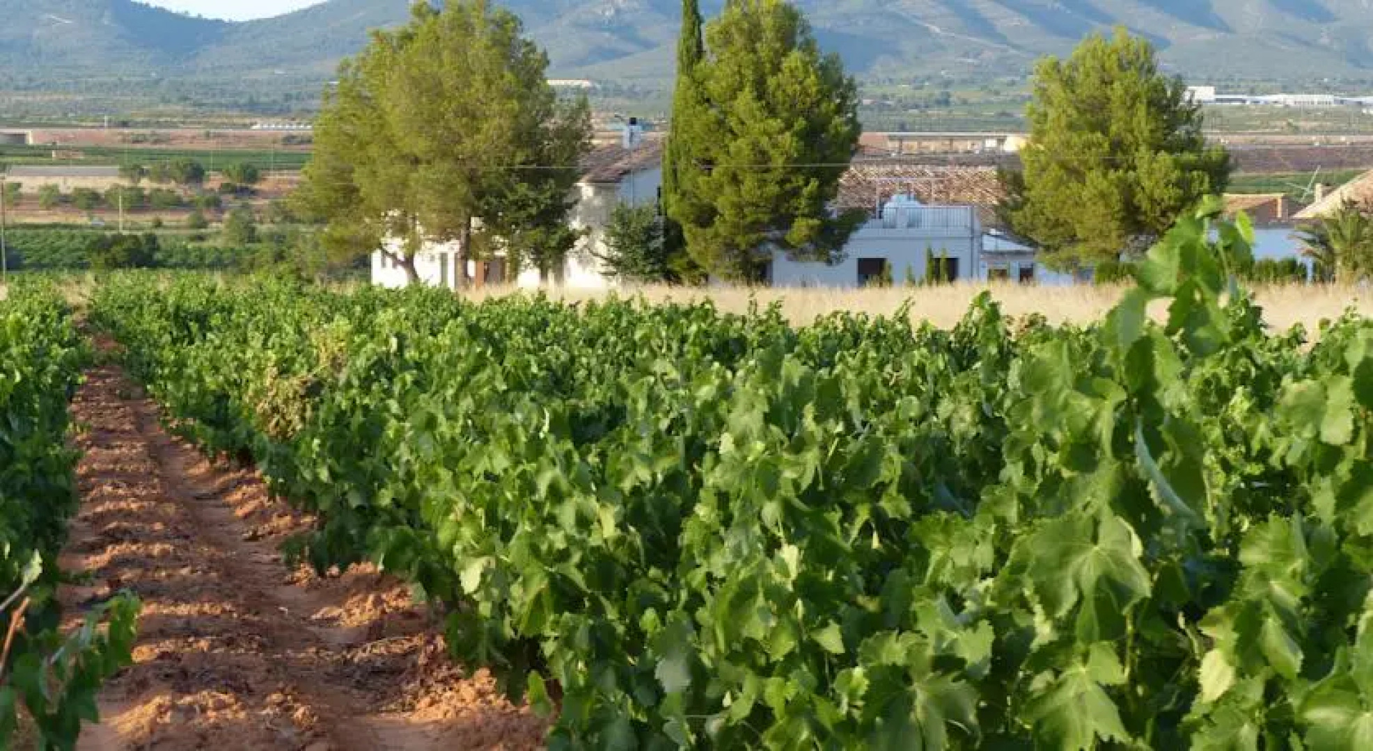Casa Rural El Arrullo