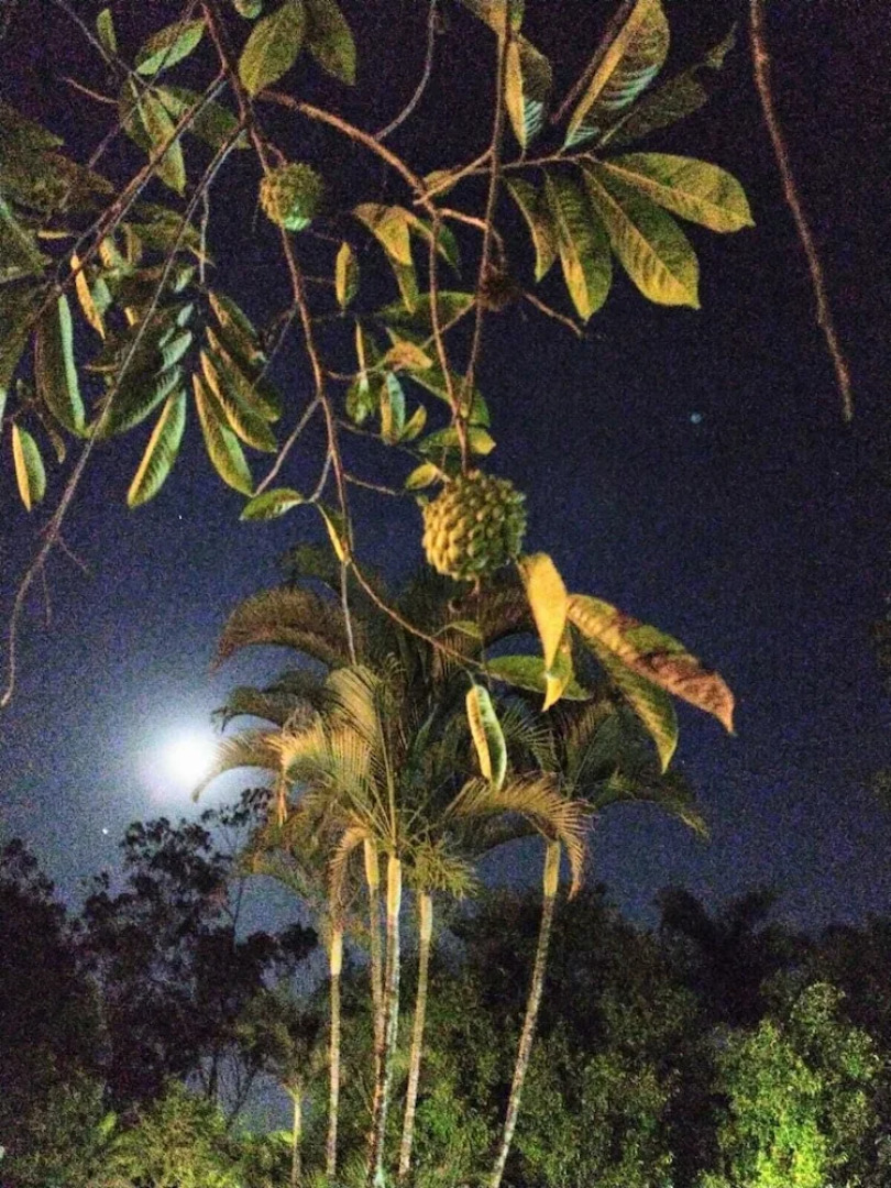 Village Colonial Hotel