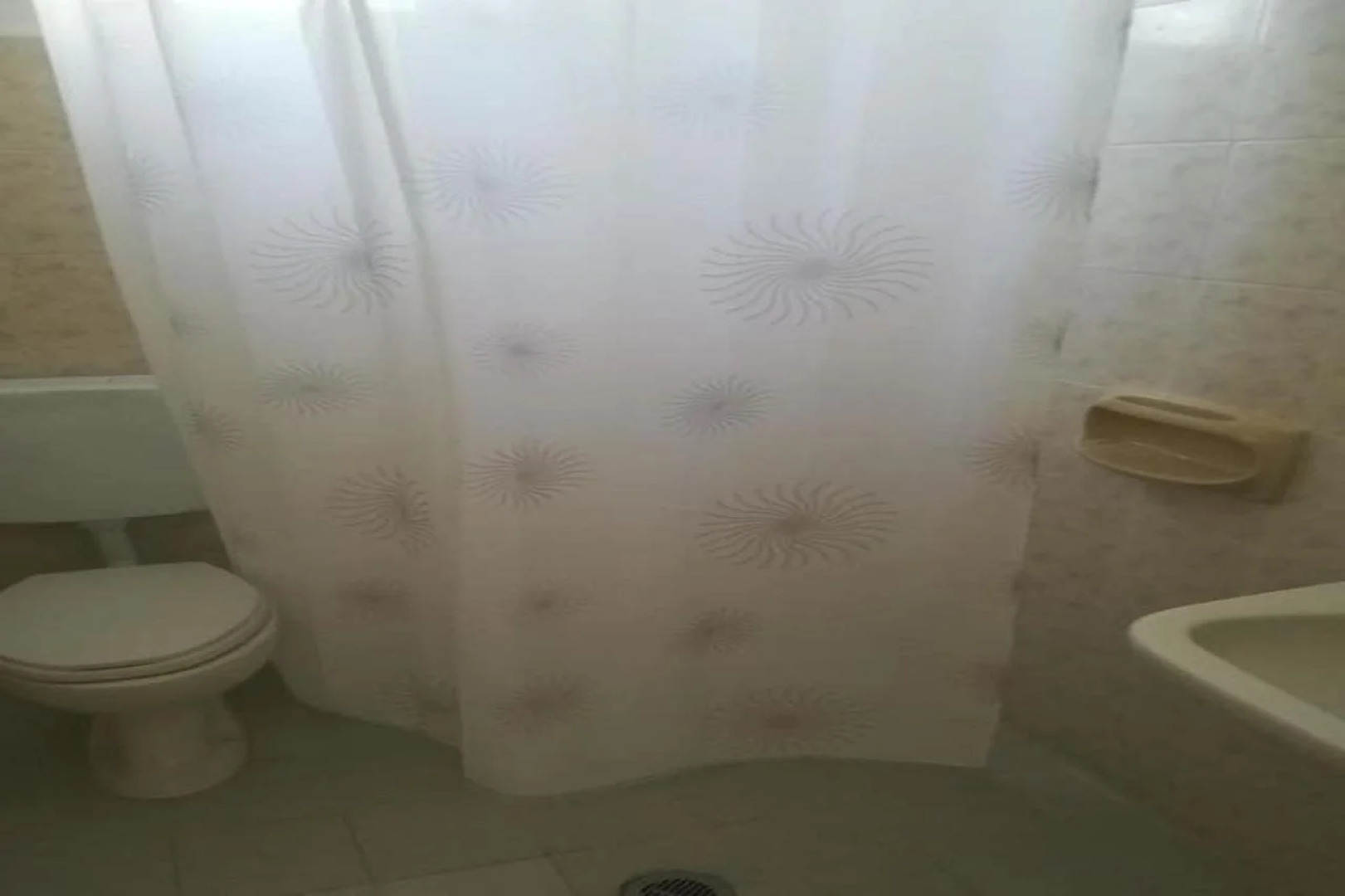 Family House Studios