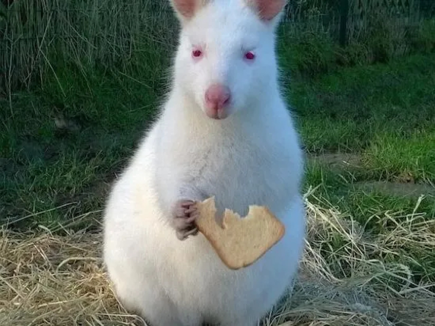 Chambre dHôtes Etretat