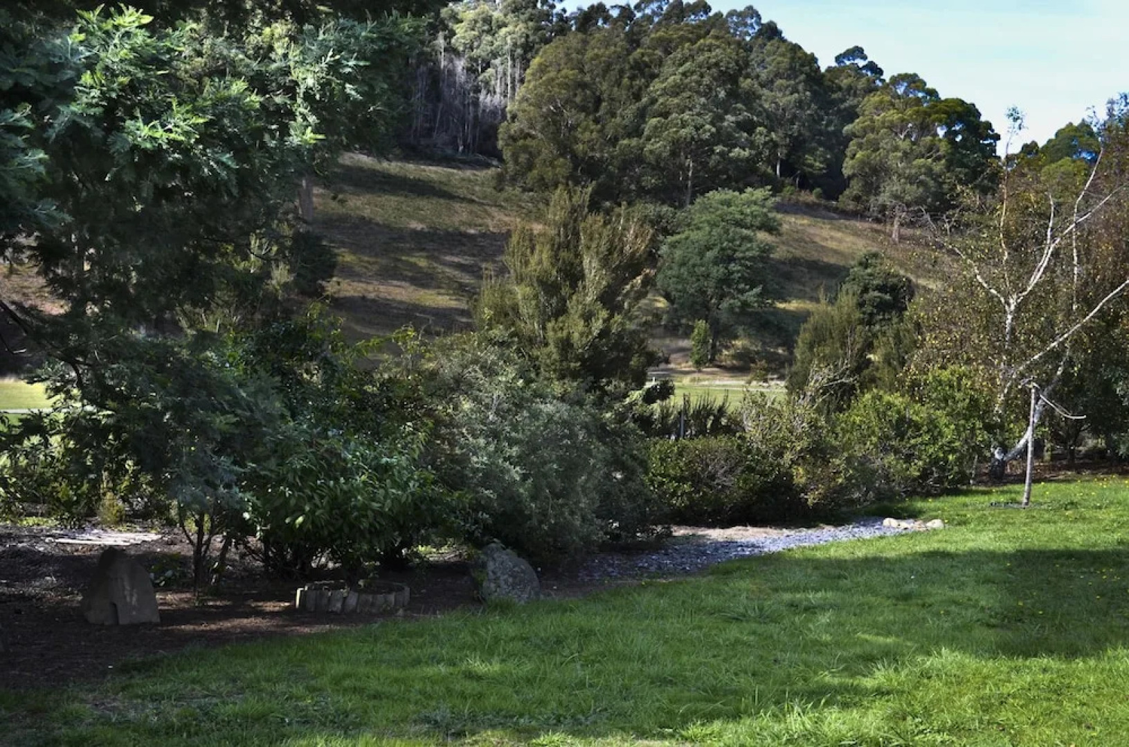 Tasmania frankford road (i)