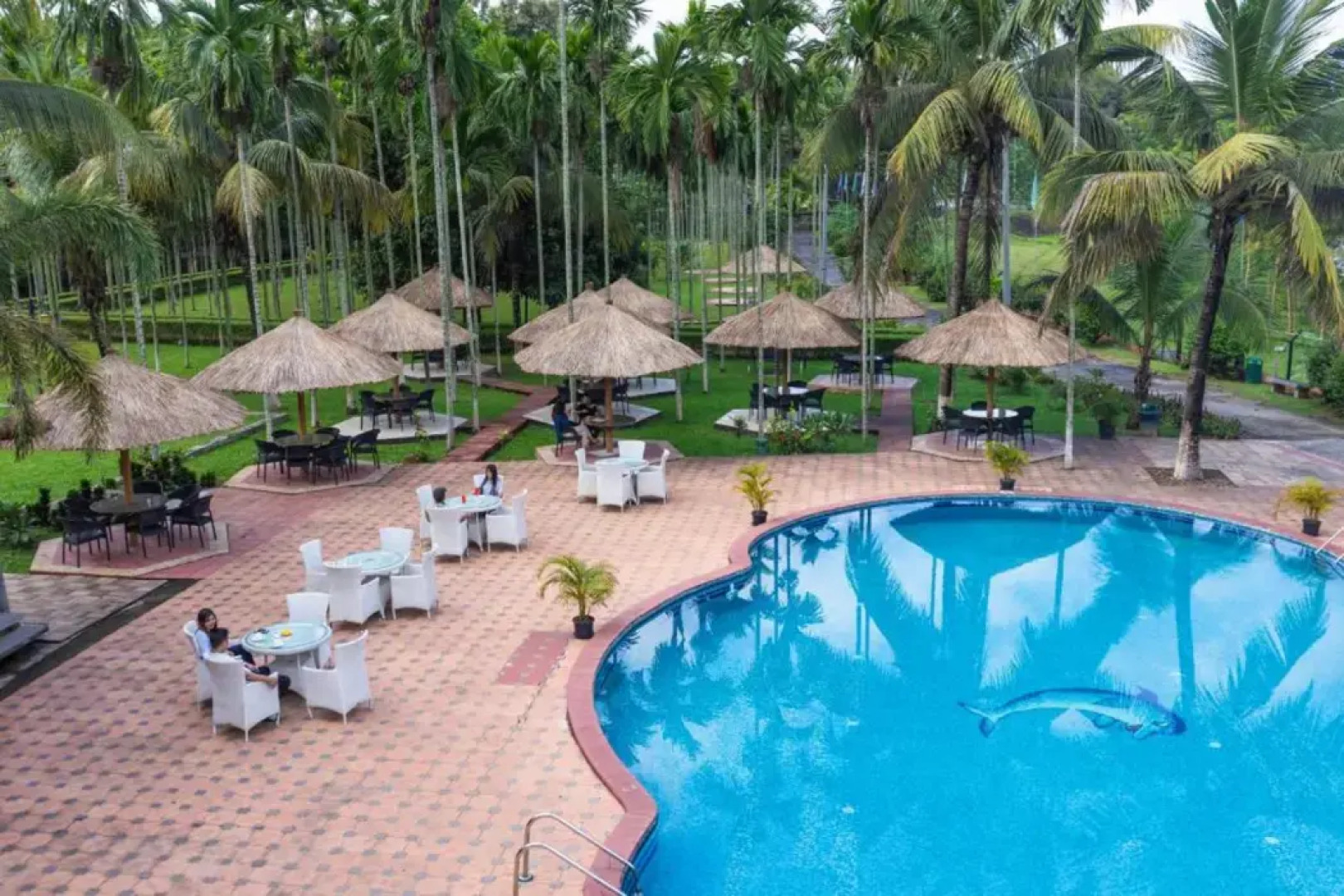 Zone Niathu Dimapur By The Park