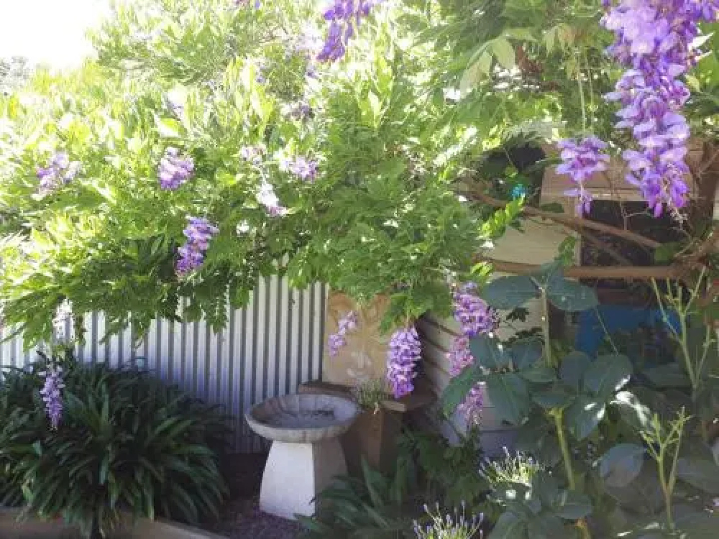 The Bohemian Art Studio