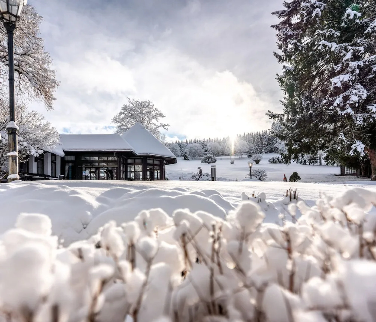 Hotel zum Ochsen Schönwald