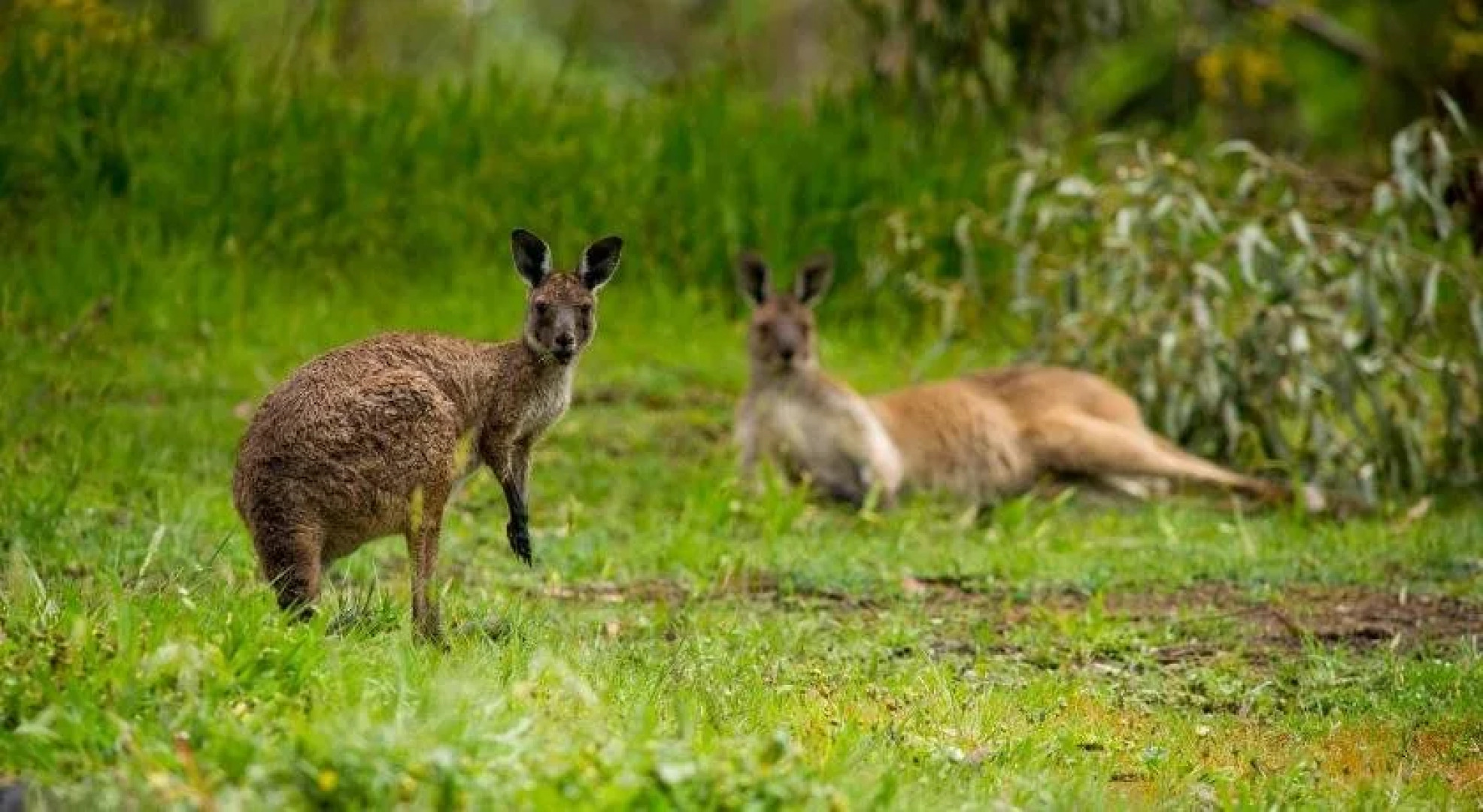 The Stirling Golf Club