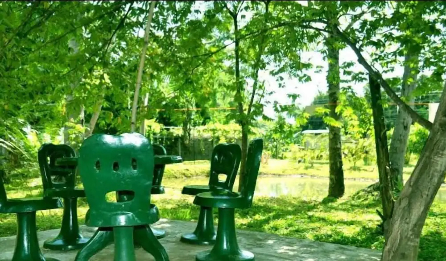 The Senaro Holiday Inn