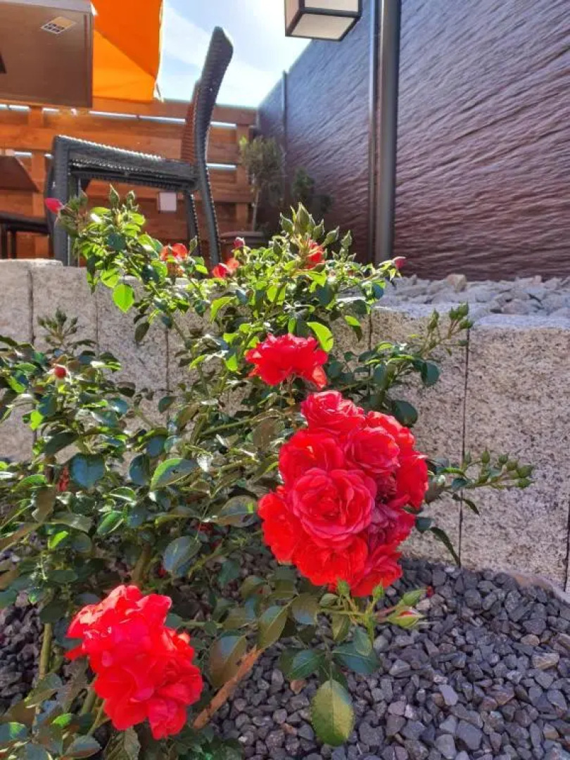 Logis Auberge Lorraine