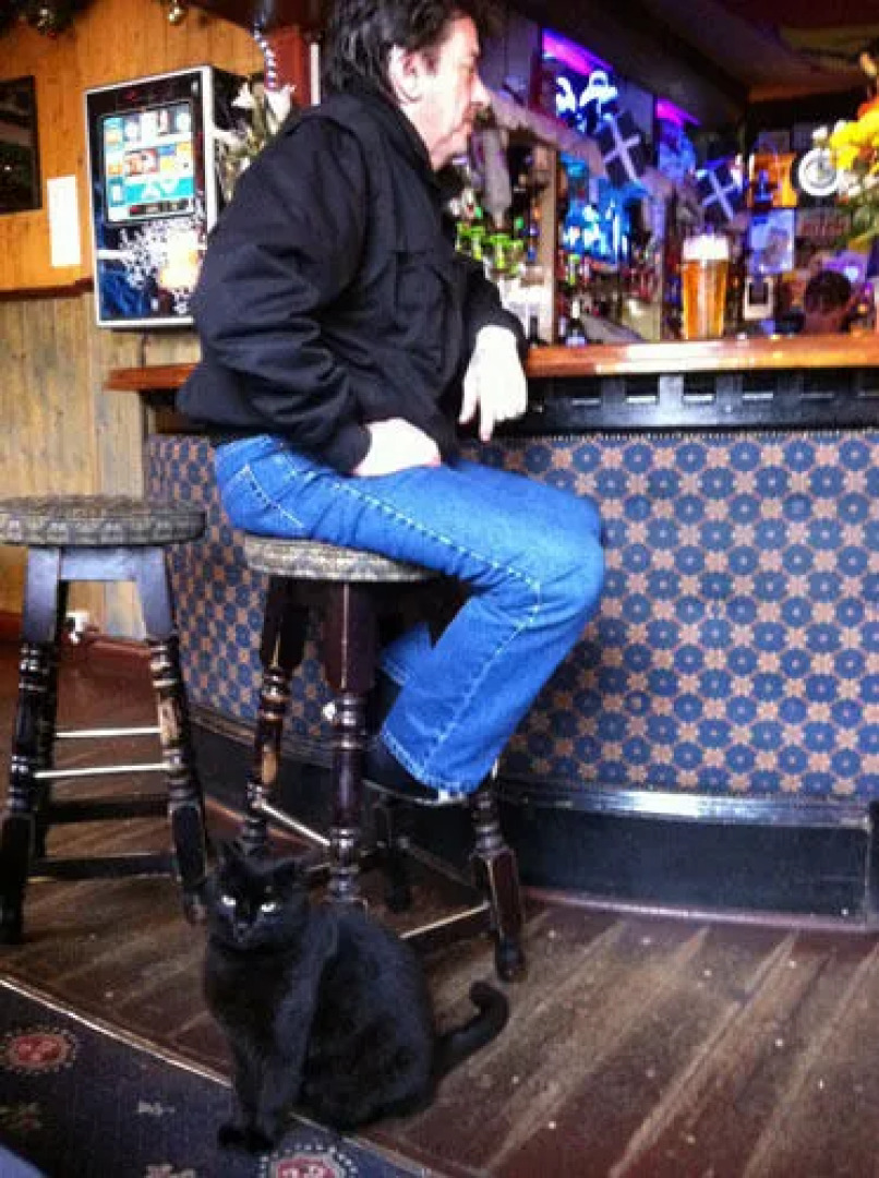 The Vyvyan Arms Hotel