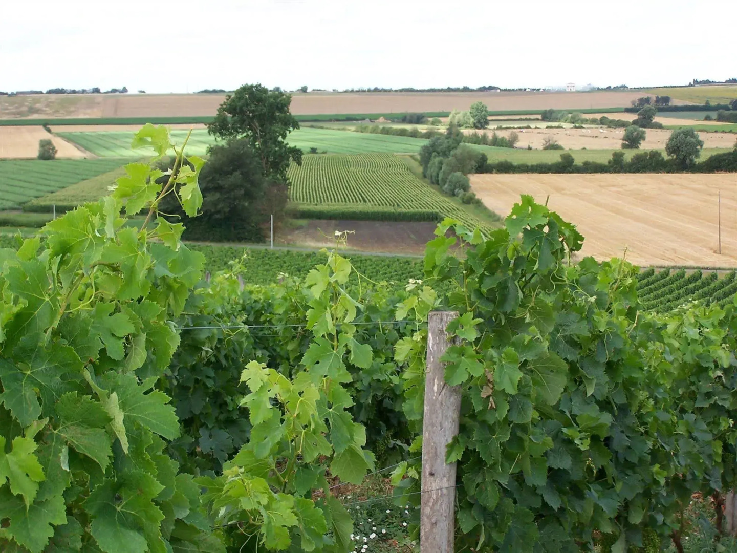 Chateau De La Sebrandière