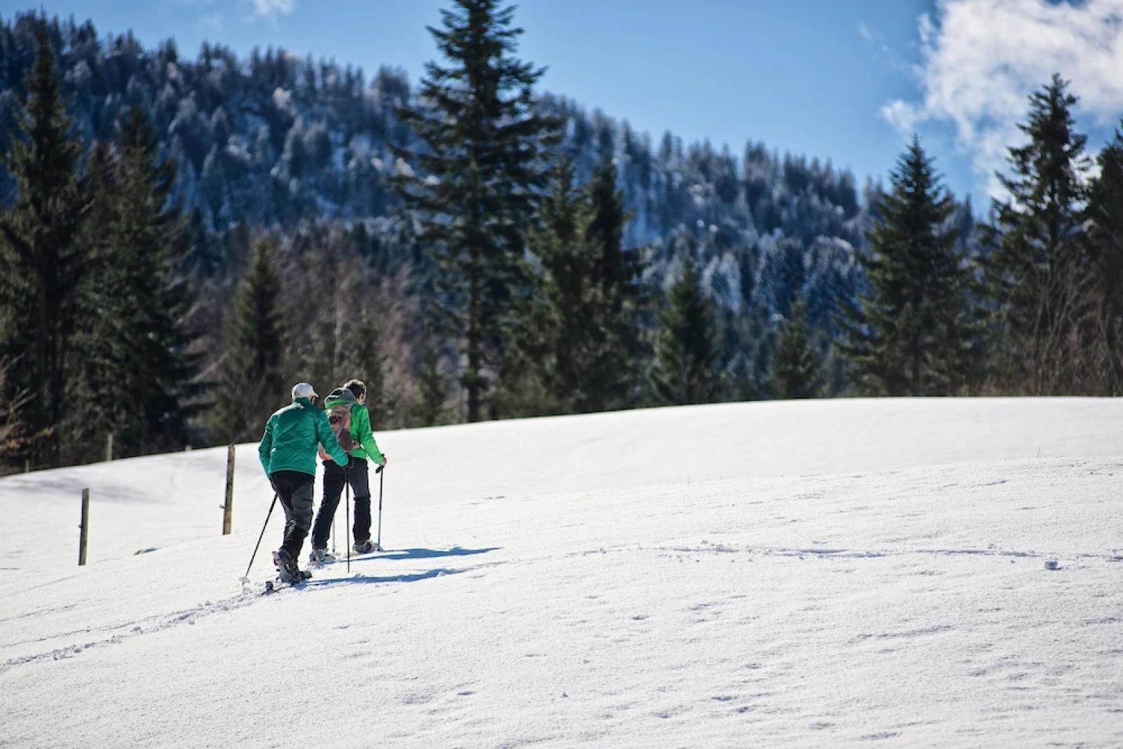 Ferienhotel Starennest