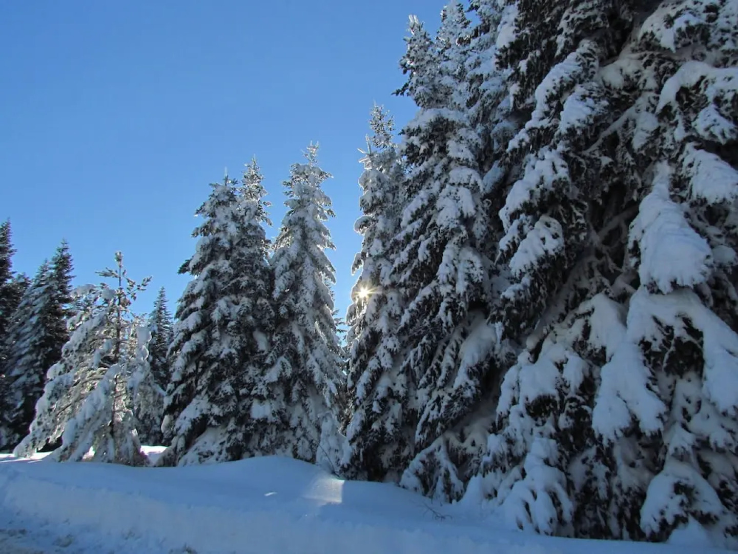 Adya - Aladag Dogal Yasam Alani