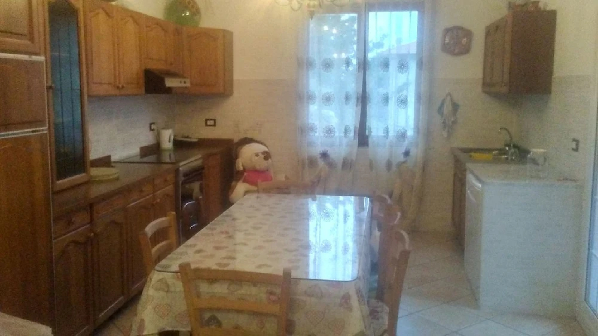 B&B LAgrifoglio