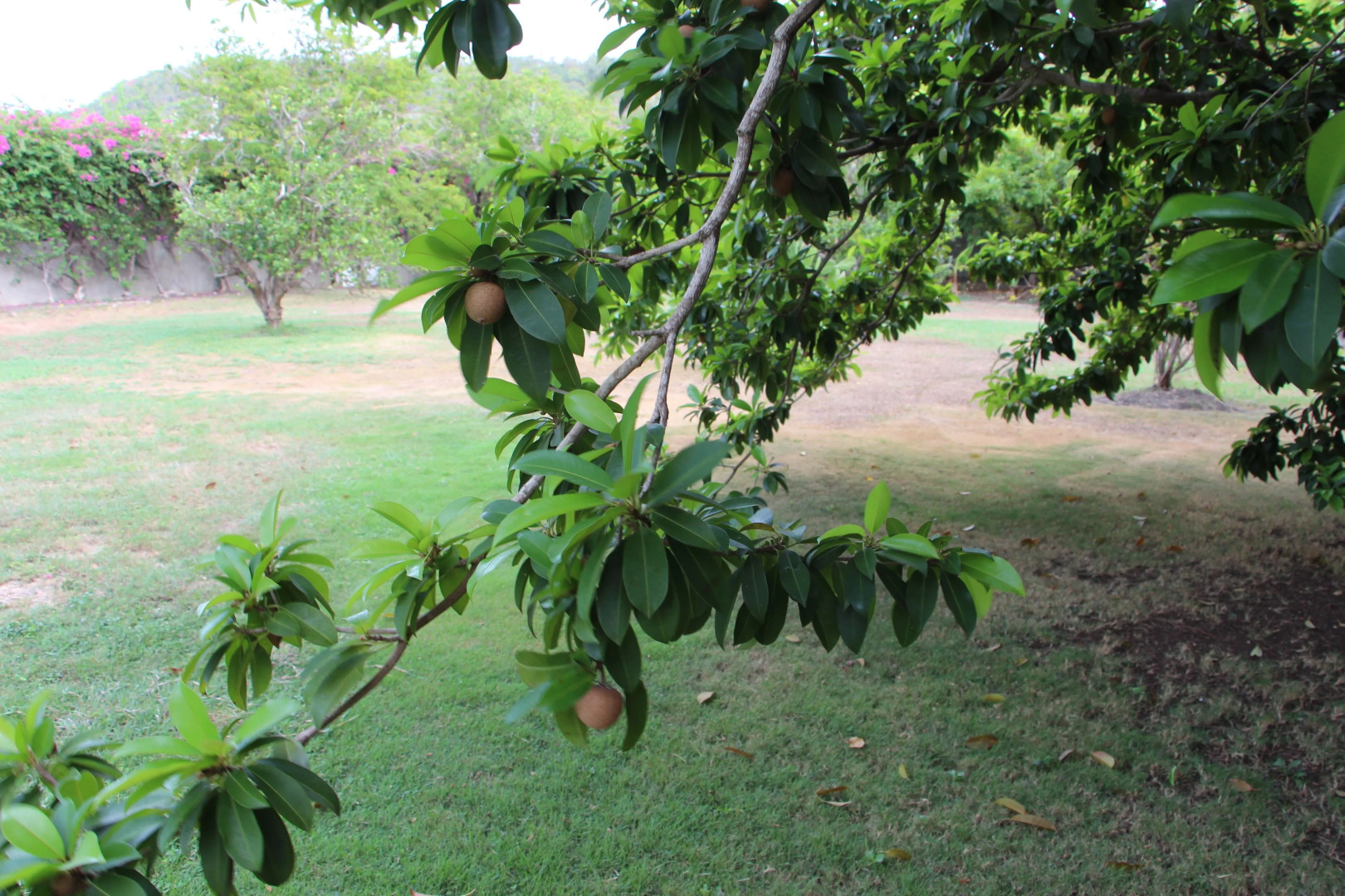 Hotbox Bud & Breakfast