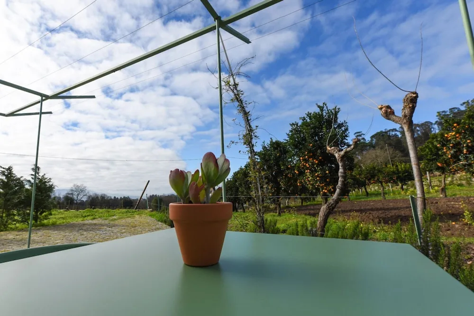 Vila Coura - Agroturismo