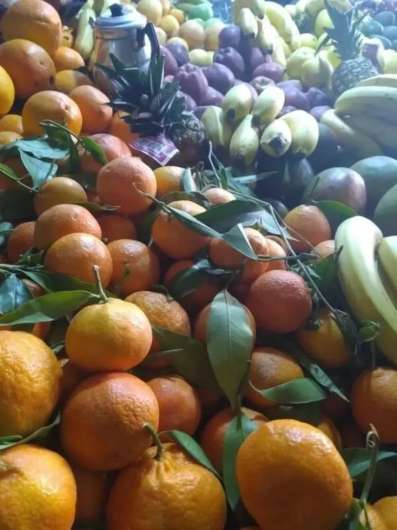 Koom A Farm And A Retreat Center