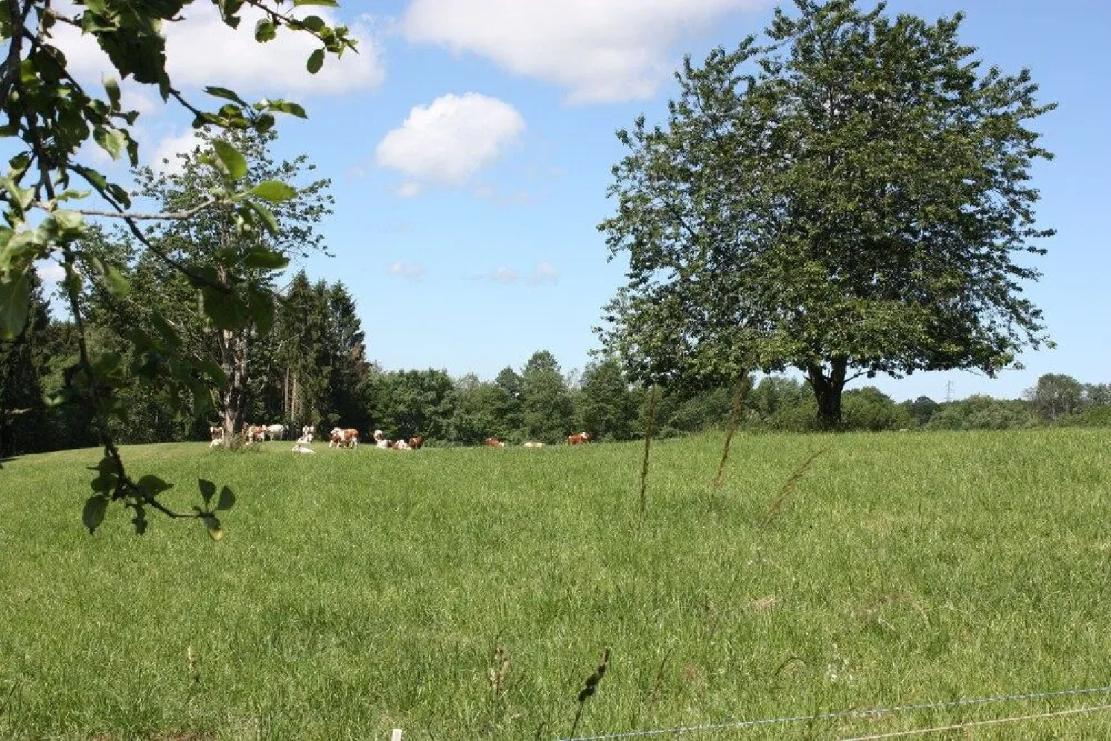 Chambres d'hôtes Chez Bles