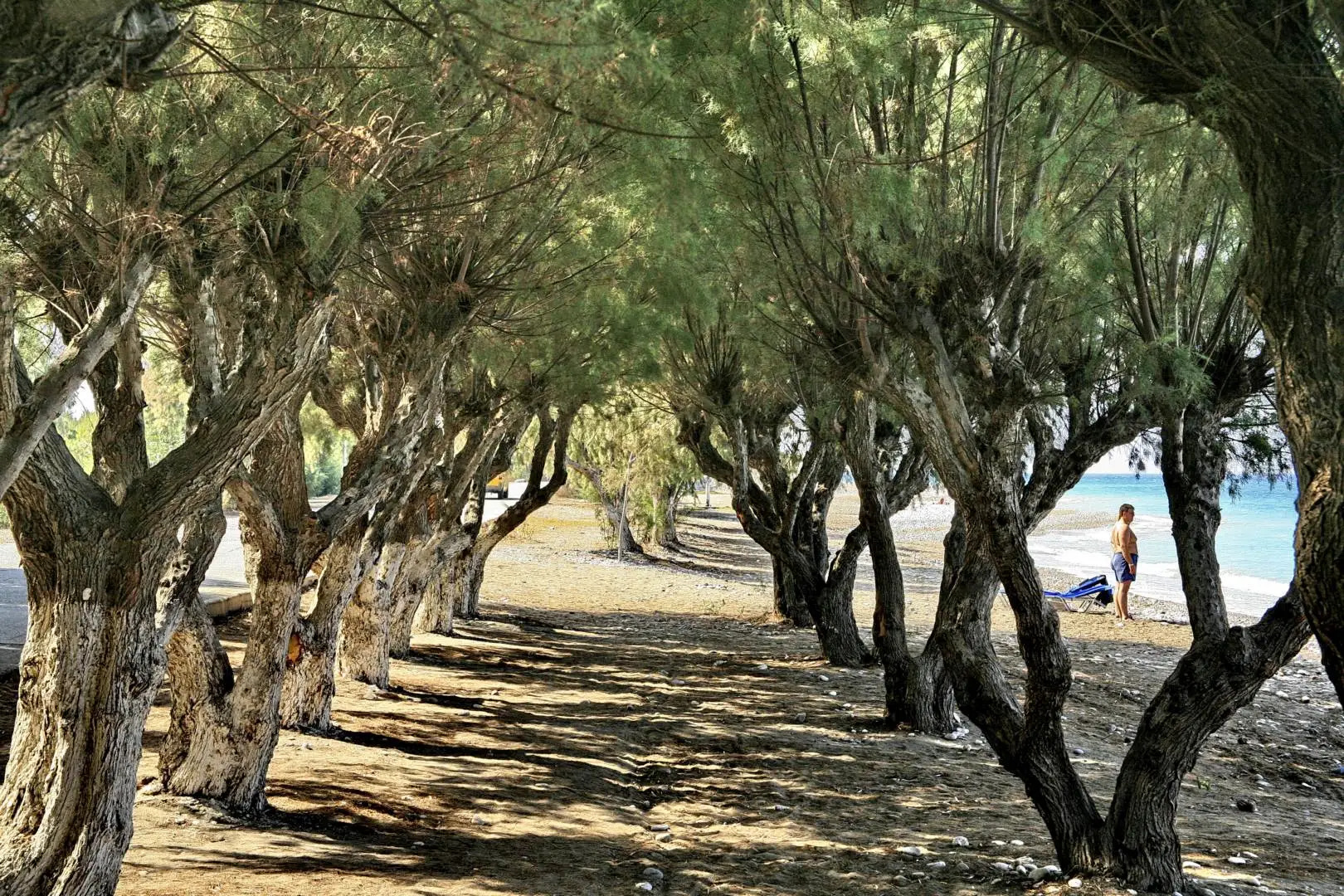 All Senses Ocean Blue Sea Side Resort