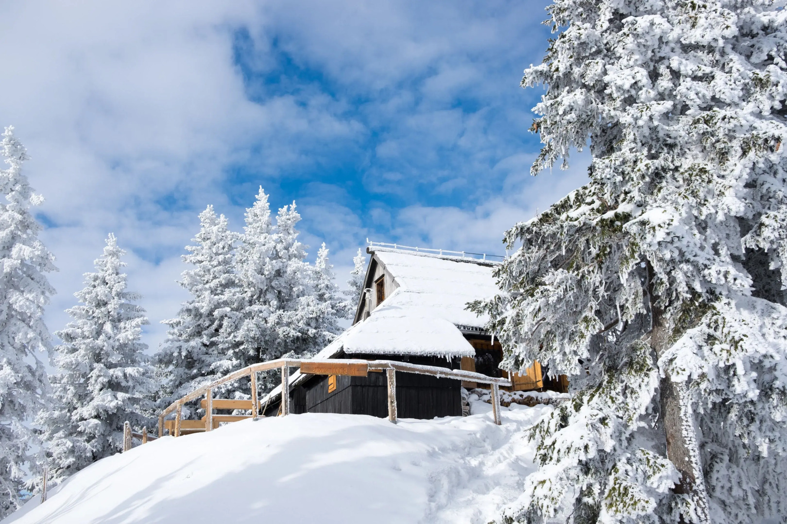 Chalet Tisa Velika Planina
