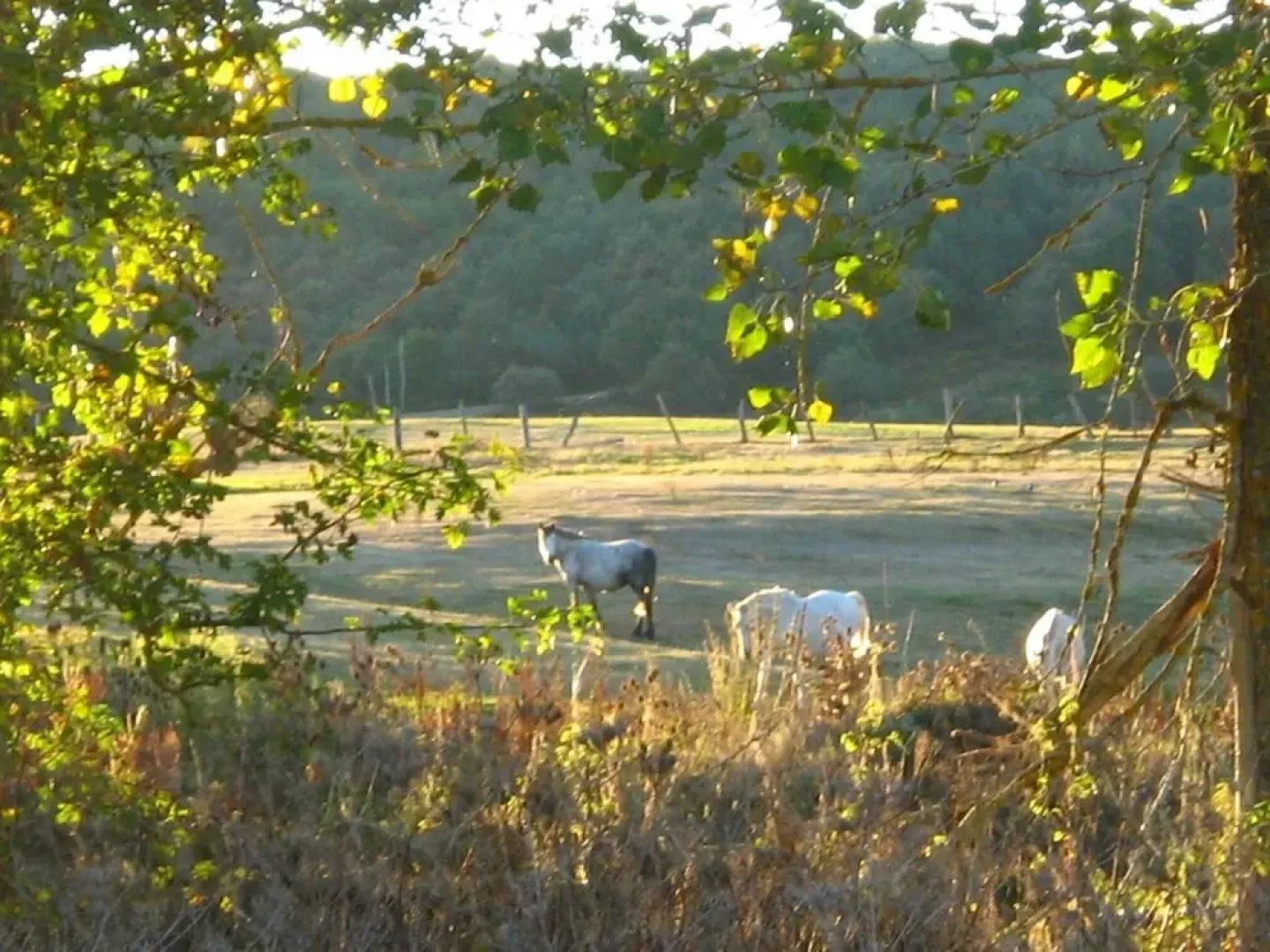 Hotel Rural La Pradera