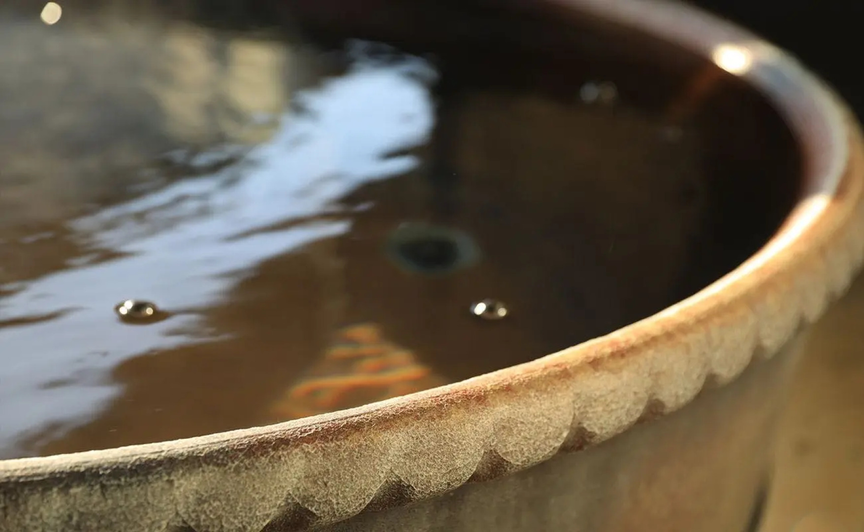 Kiri No Kahori Sakura