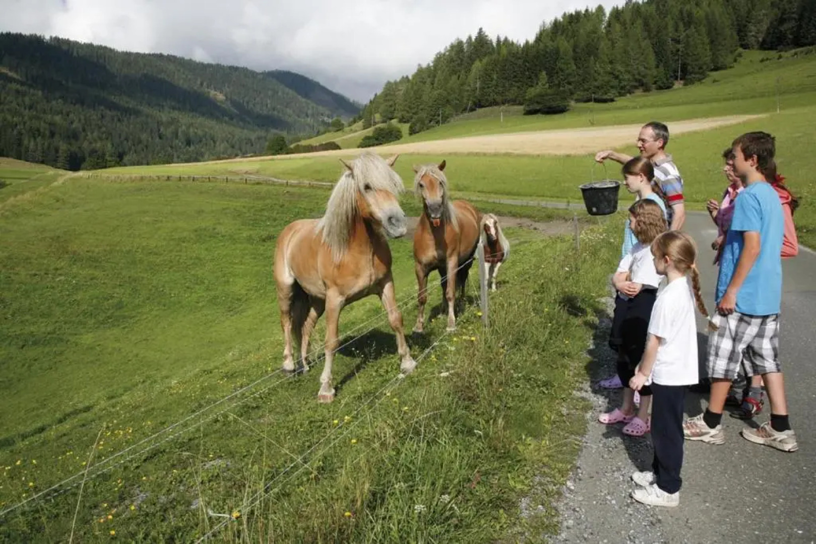 Ferienwohnung Hobelleitner