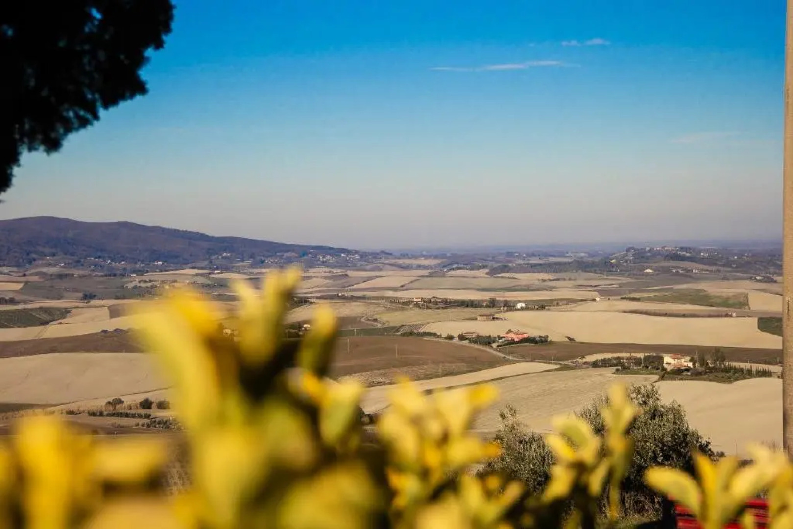 Agriturismo Le Vignacce