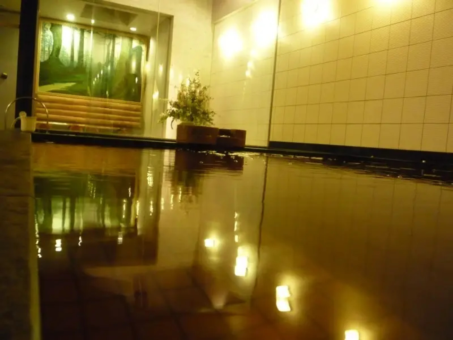 Shin Yokohama Fuji View Hotel Spa & Residences