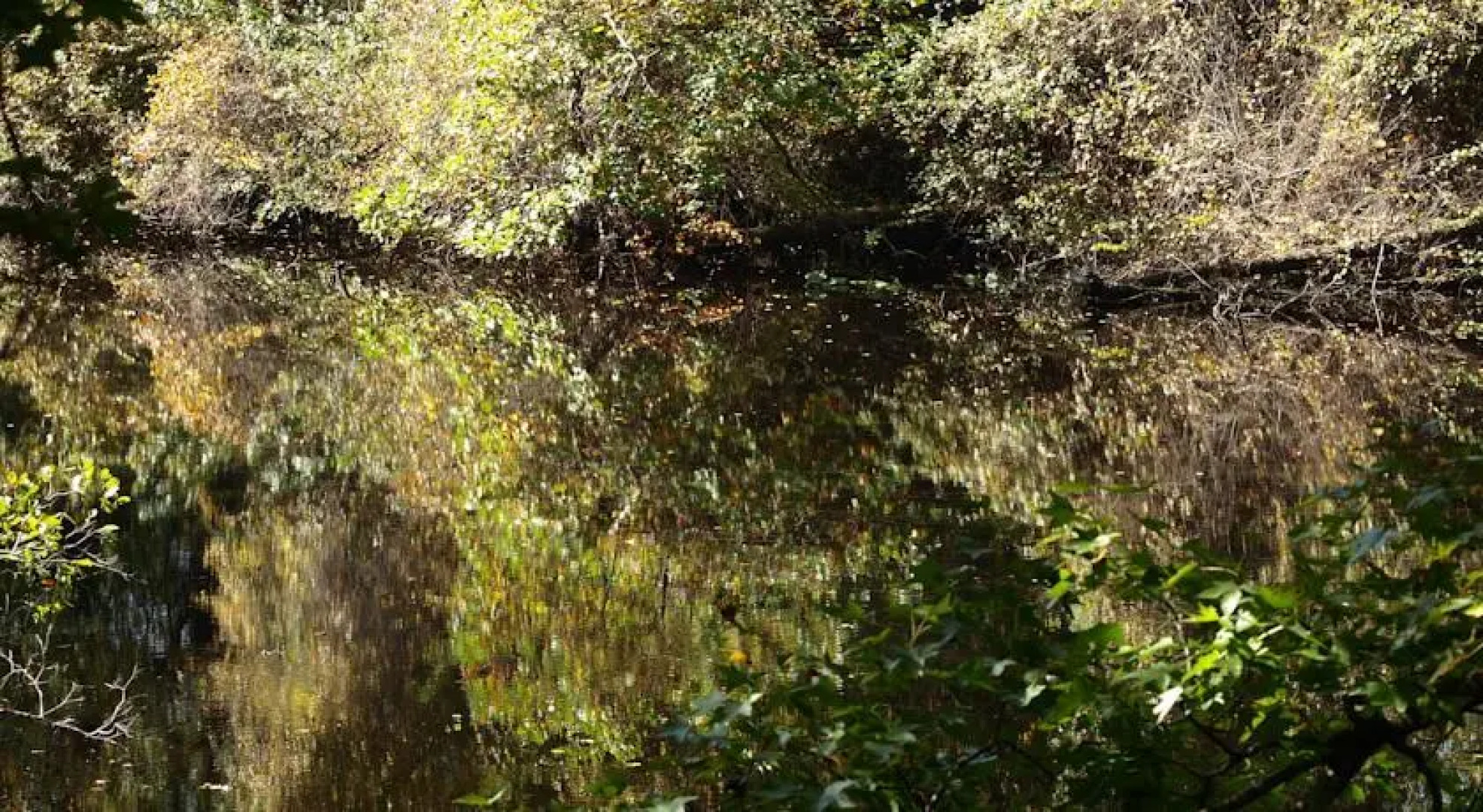 Our Private Paradise