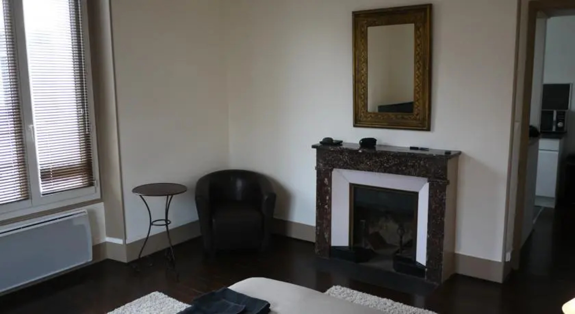 Appartement Grenoble Centre