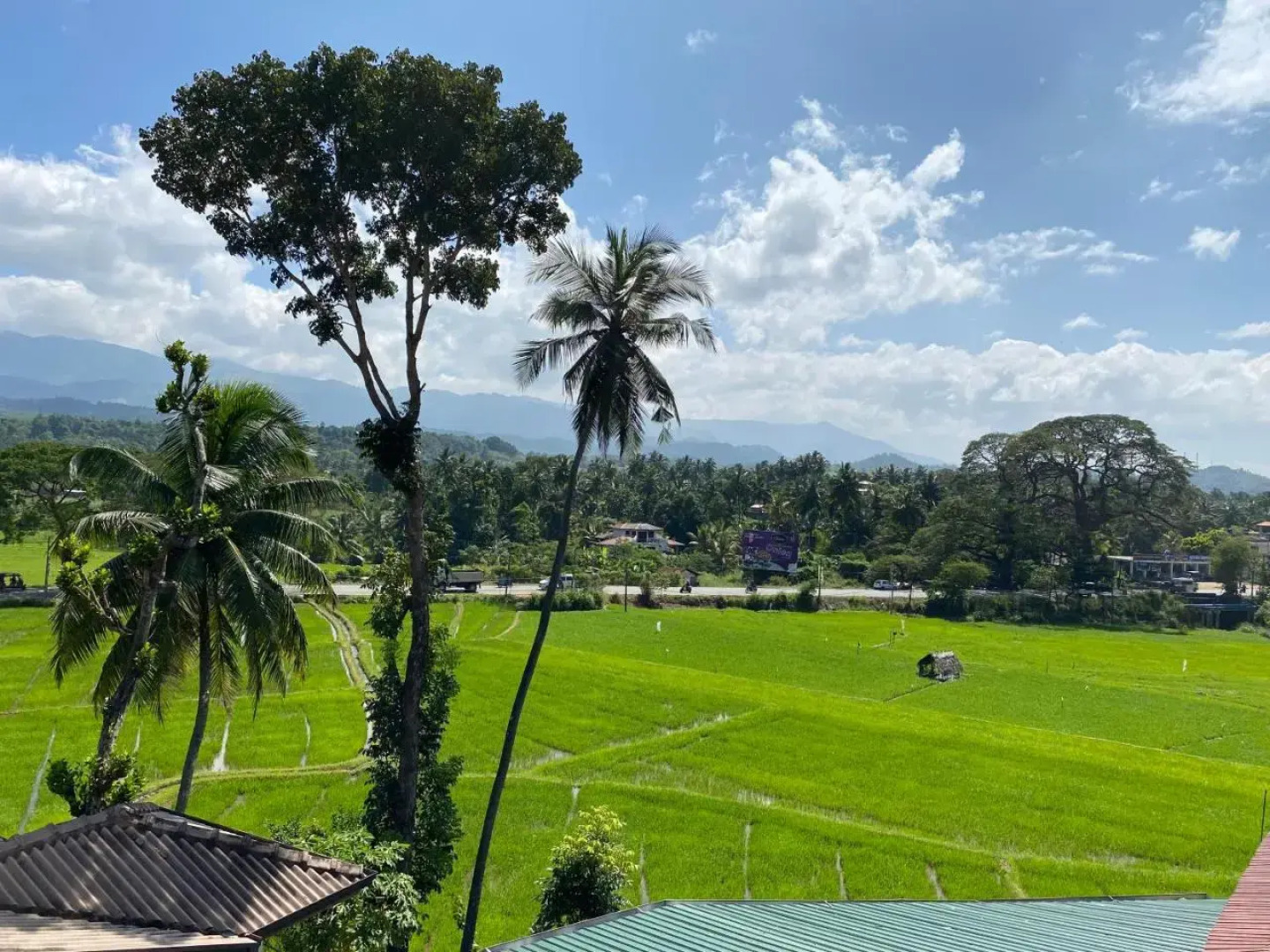 Hotel Spring View (Pvt) Ltd