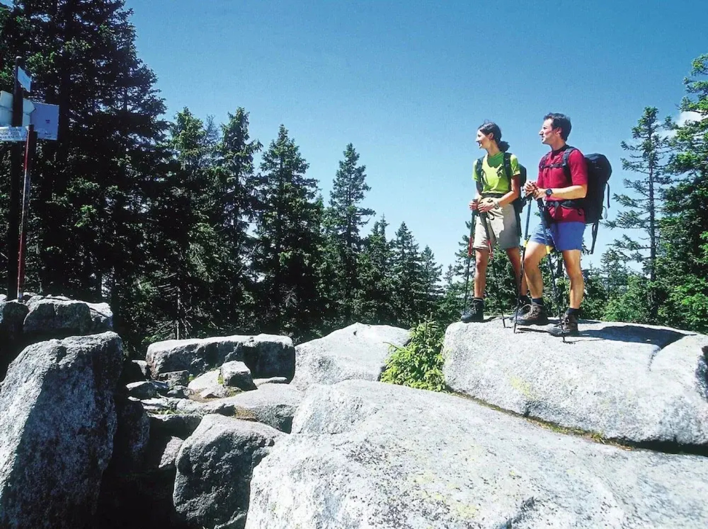 Apartment in Gosau With a Shared Sauna