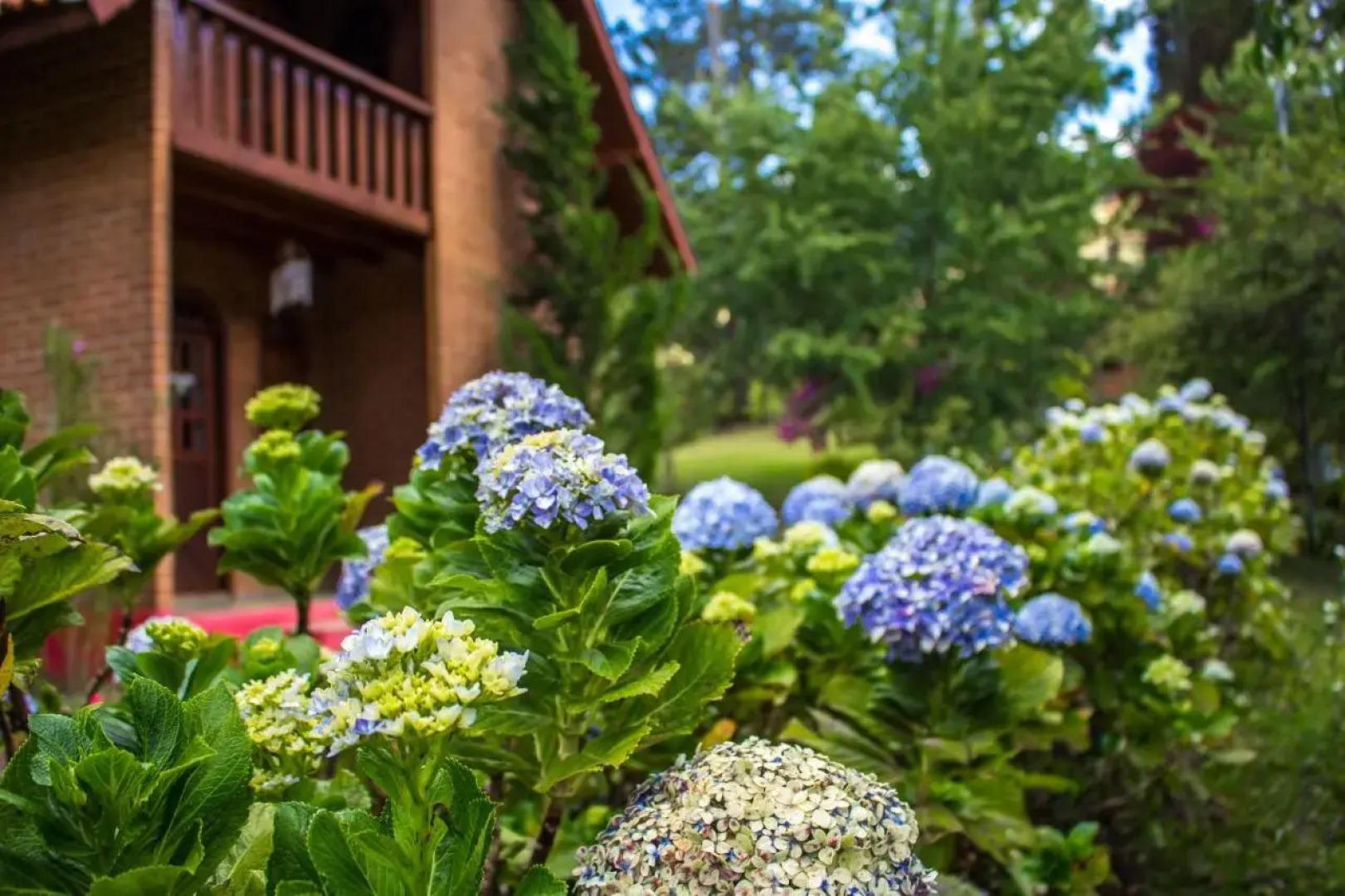 Pousada Monjolos De Minas