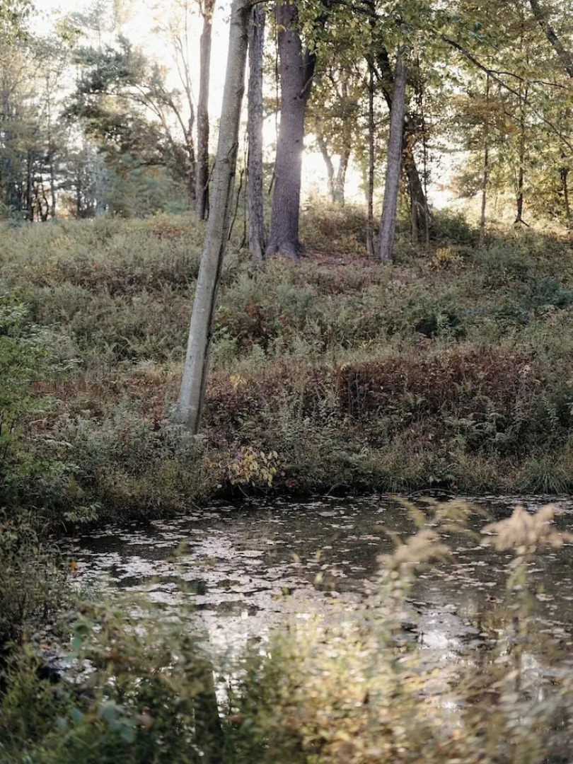 Stonehill's Farmhouse